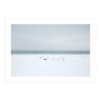 Seagulls in the Snow beach (Print Only)