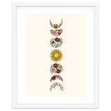 Floral Phases Of The Moon thumbnail