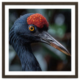 Black Crane Bird Head With Red Crown And Raindrops thumbnail