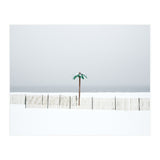 Fake palm tree in the winter snow beach (Print Only) thumbnail