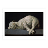 Agnus Dei - ca.1635-40 - oil on canvas - 37,3 x 62 cm - Spanish Baroque - NP 7293. (Print Only) thumbnail