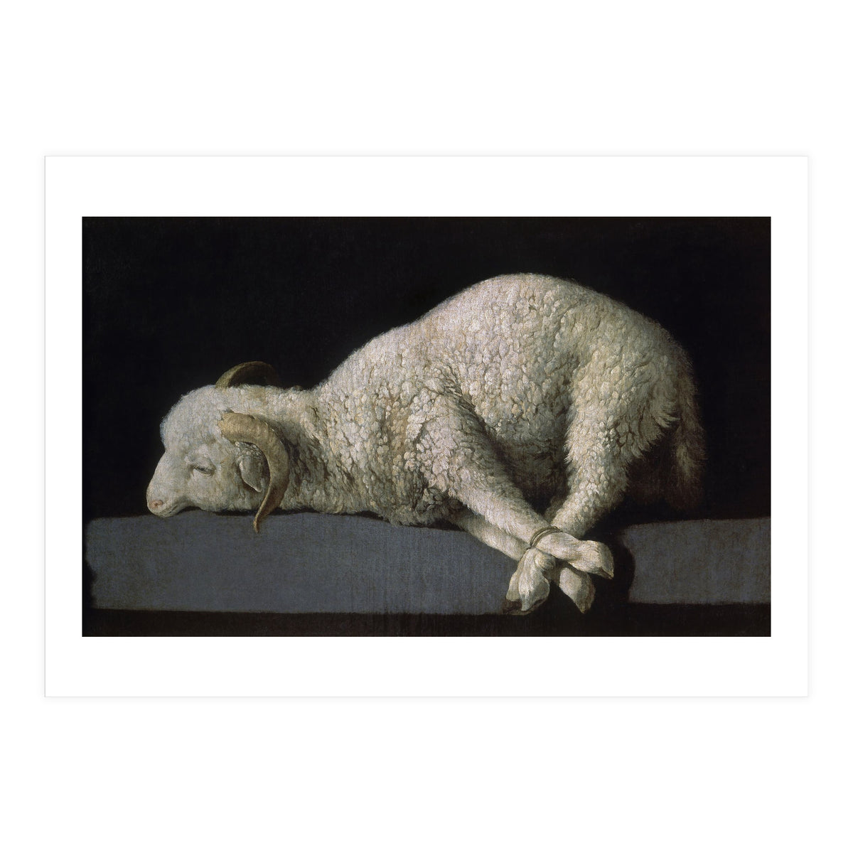 Agnus Dei - ca.1635-40 - oil on canvas - 37,3 x 62 cm - Spanish Baroque - NP 7293. (Print Only)