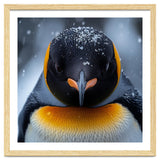 Close Up King Penguin In The Snow thumbnail