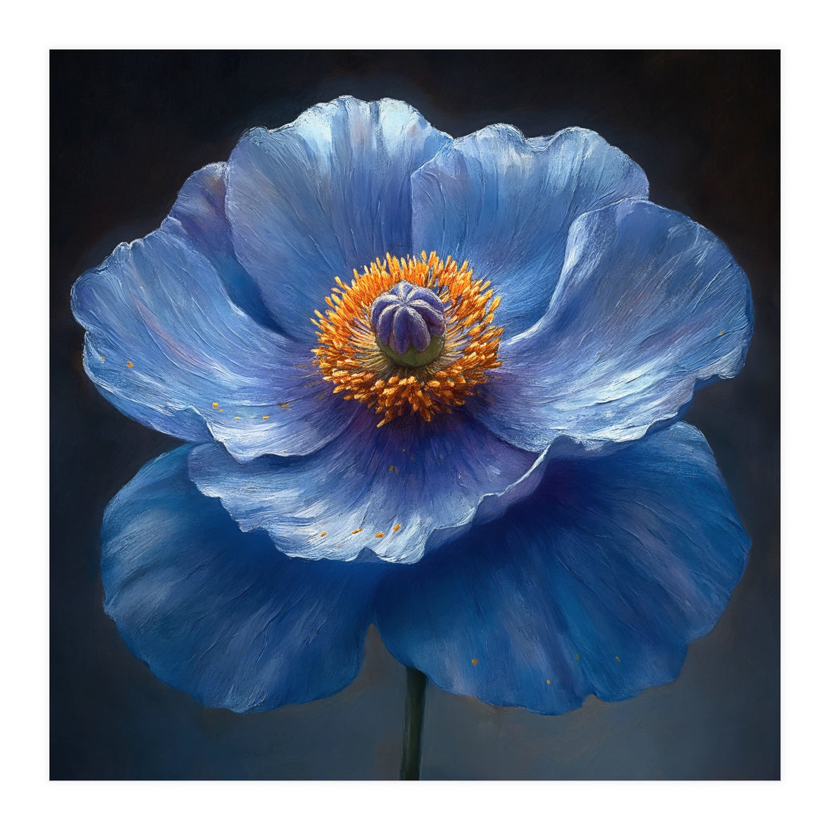 Meconopsis | Sapphire Serenade (Print Only)