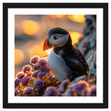 Puffin Bird Amidst Purple Flowers Golden Hour thumbnail