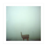 Silence of breath - 04 (Print Only) thumbnail