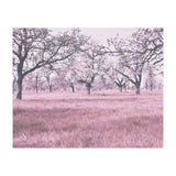 Vintage Happy Place (Print Only) thumbnail
