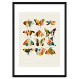 Colorful Butterflies thumbnail