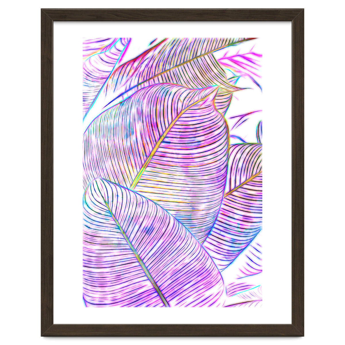 Pink Banana Leaves | Tropical Botanical Jungle | Ultraviolet Purple Nature Plants | Eclectic Forest