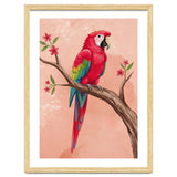 Red Macaw Parrot Bird Forest thumbnail