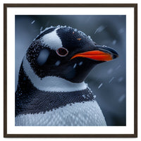 Close Up Penguin Portrait In Snowy Weather