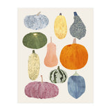 Still Life Of Pumpkins (Print Only) thumbnail