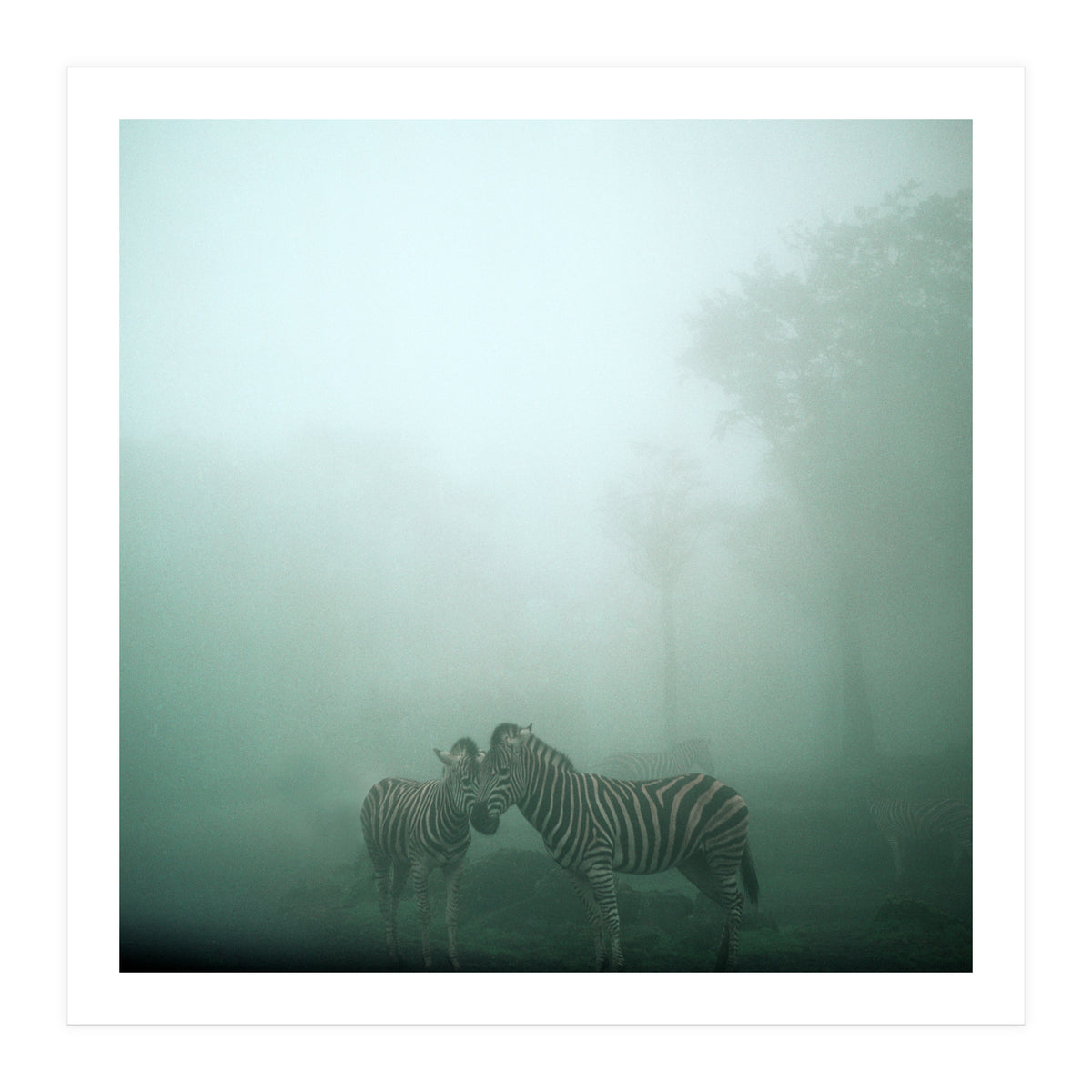 Silence of breath - 11 (Print Only)