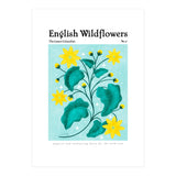 English Wildflowers | Lesser Celandine (Print Only) thumbnail