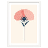 Pink Half Poppy thumbnail