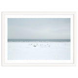Seagulls in the Snow beach thumbnail