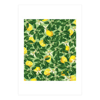 Lemonade Garden, Green Fresh Lemon Botanical Illustration, Vibrant Summer Tropical Fruit Nature (Print Only)