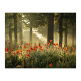 The poppy forest (Print Only) thumbnail