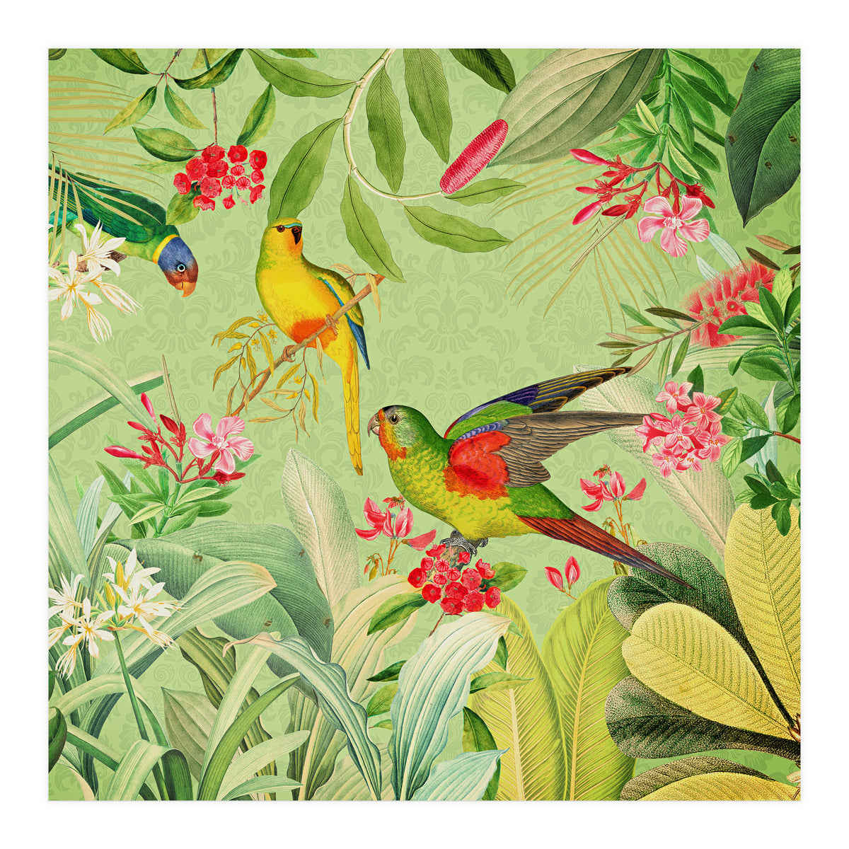 Summer Day Vintage Tropical Jungle (Print Only)