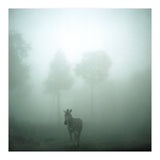 Silence of breath - 01 (Print Only) thumbnail