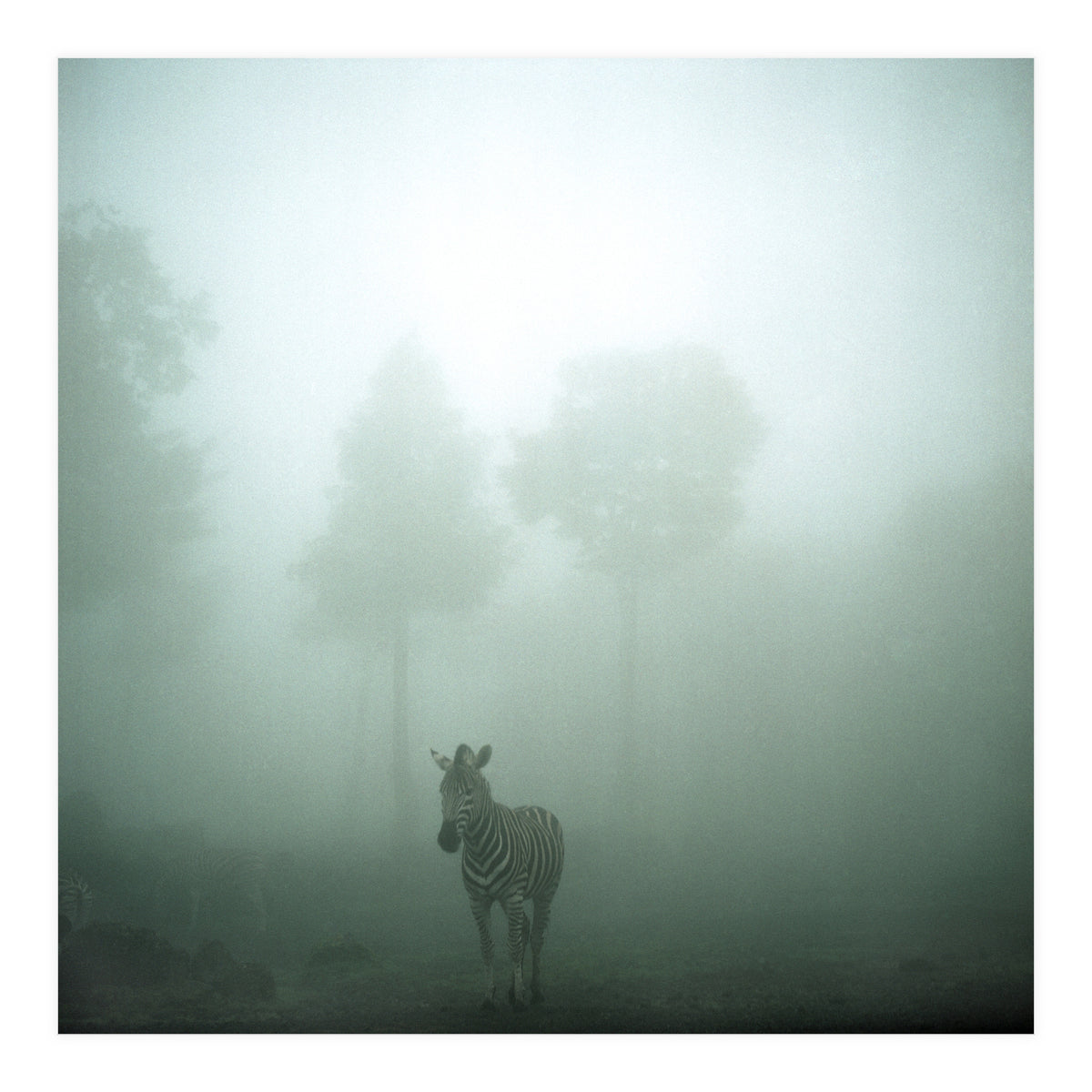 Silence of breath - 01 (Print Only)