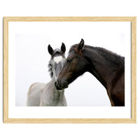 Two Horses