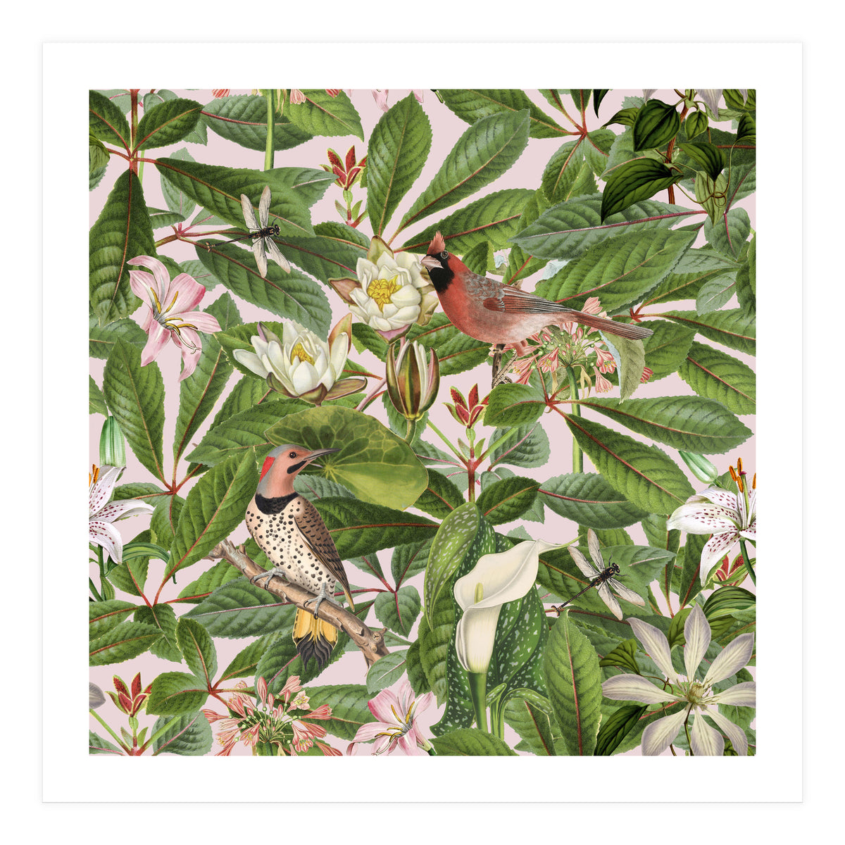 Tropical Bird Garden (Print Only)