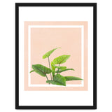 Botanical Art thumbnail