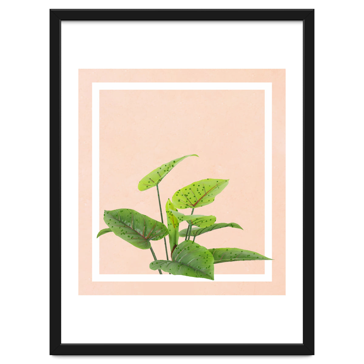 Botanical Art
