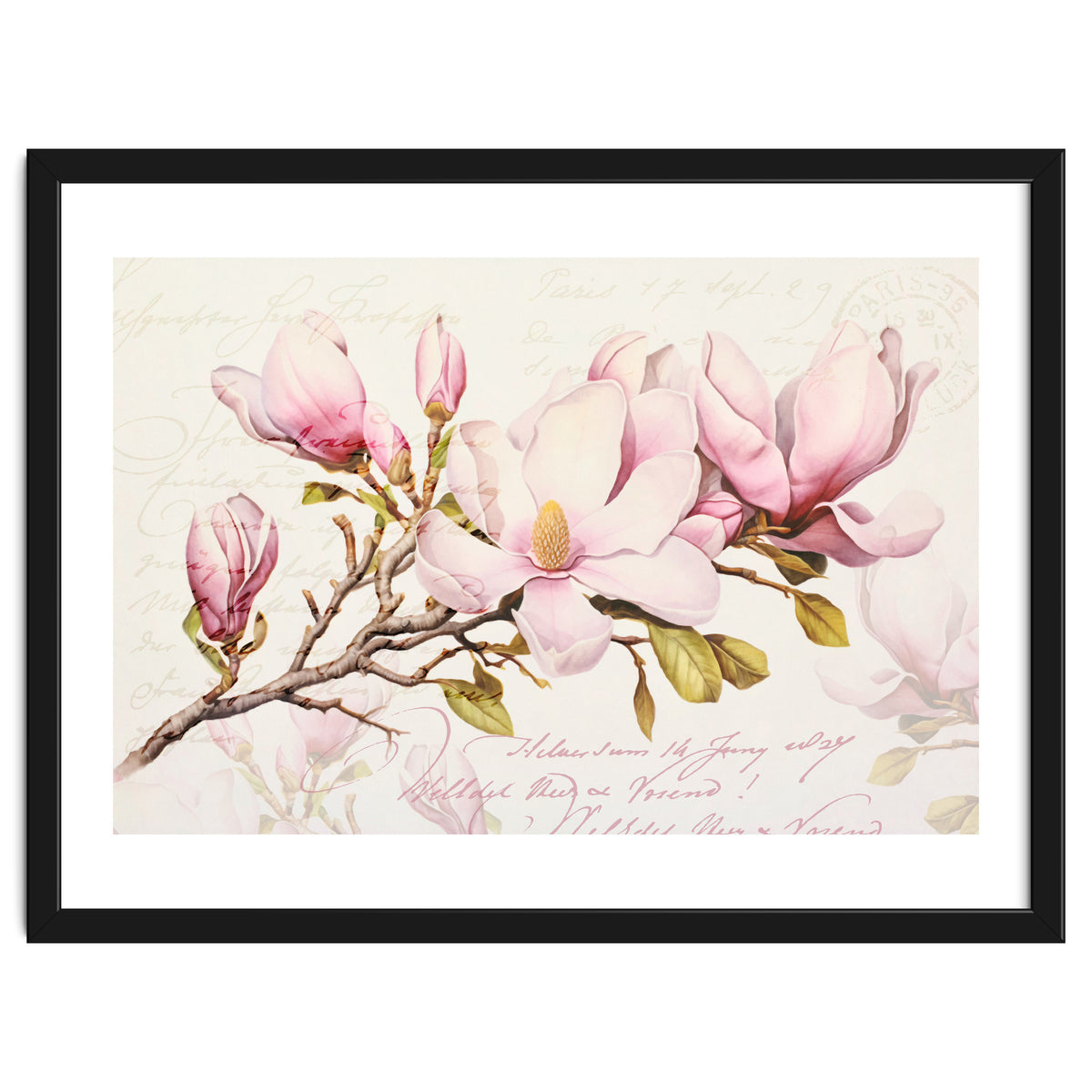 Magnolia Spring Romance Pink