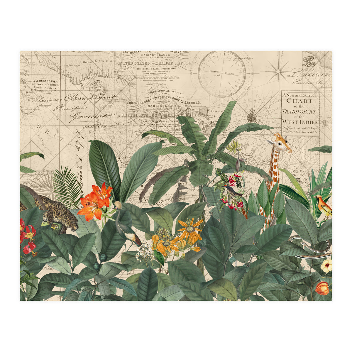 Explore The New World Wild Animals (Print Only)