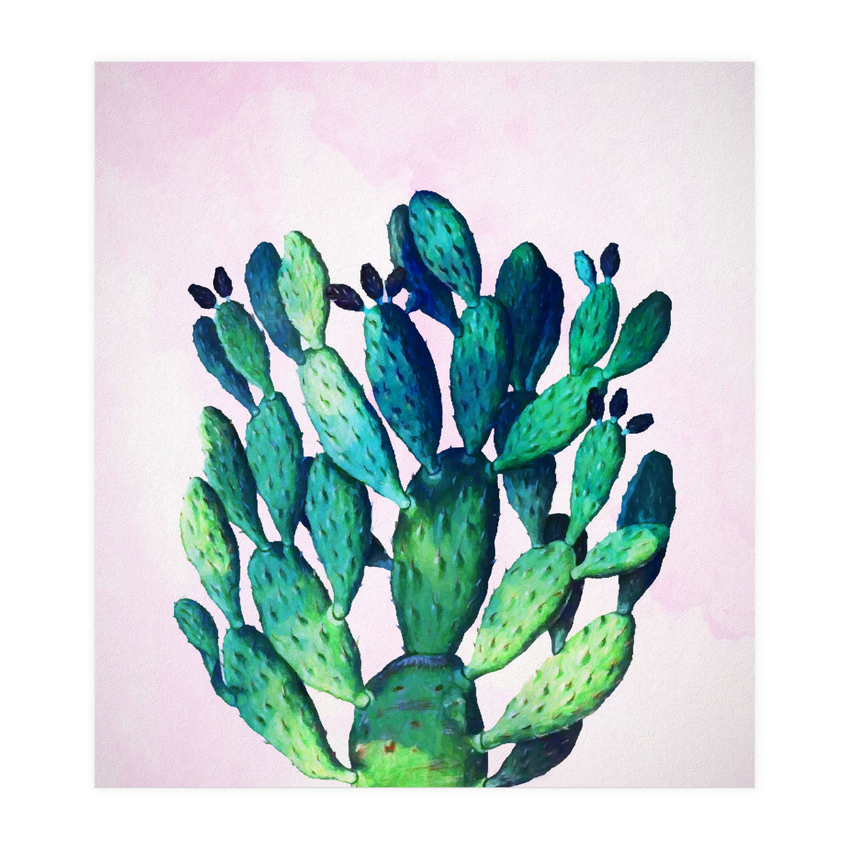 Cactus Three Ways (Print Only)