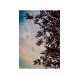 This Bird Has Flown (Print Only) thumbnail