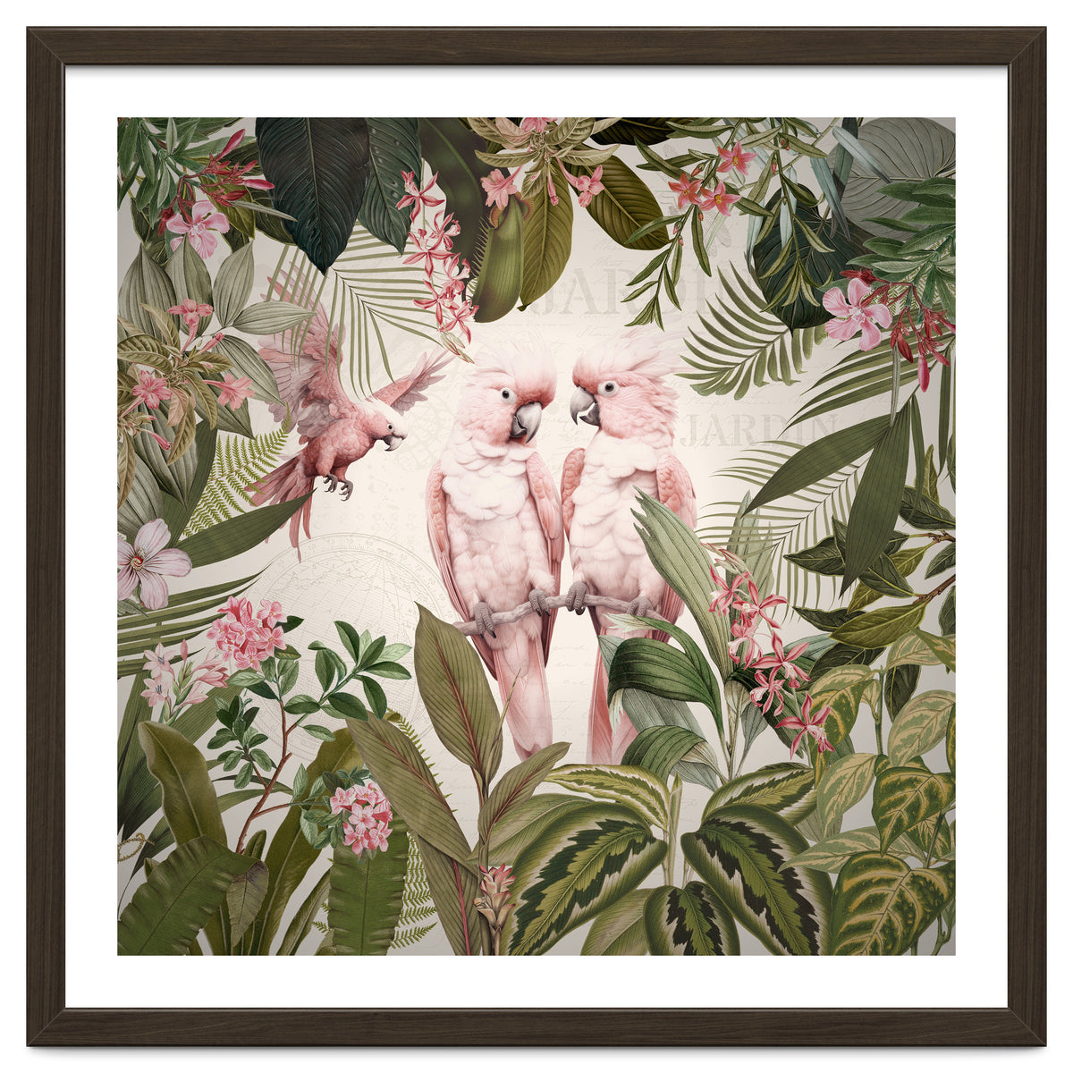 Pink Parrots Exotic Rainforest