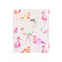 Flamingo Formation (Print Only)