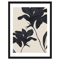 Shadowed Blooms