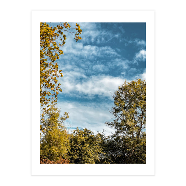 Autumn Evening (Print Only)