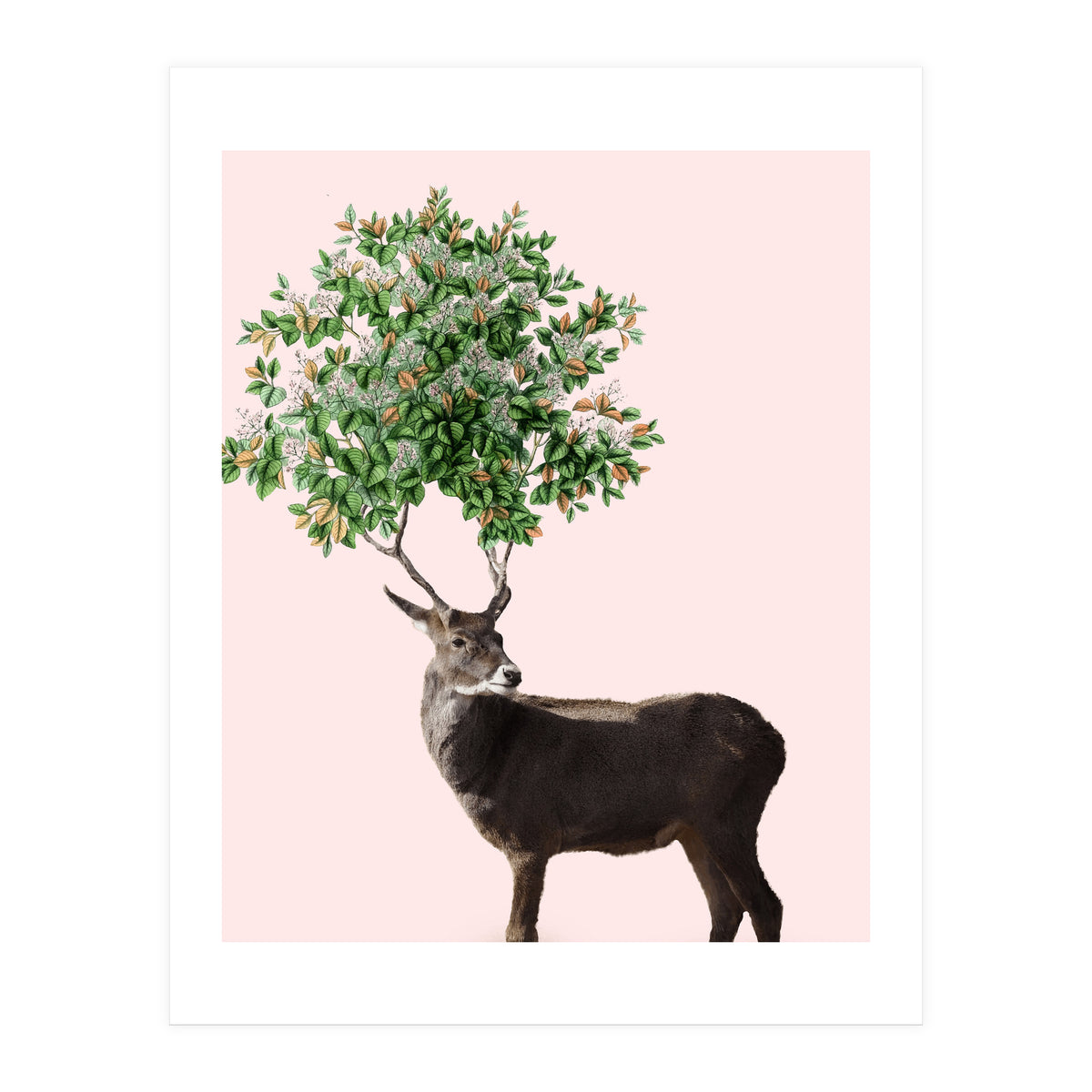 One With Nature V2 (Print Only)