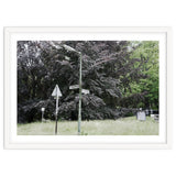 Signs at the corner of the street thumbnail