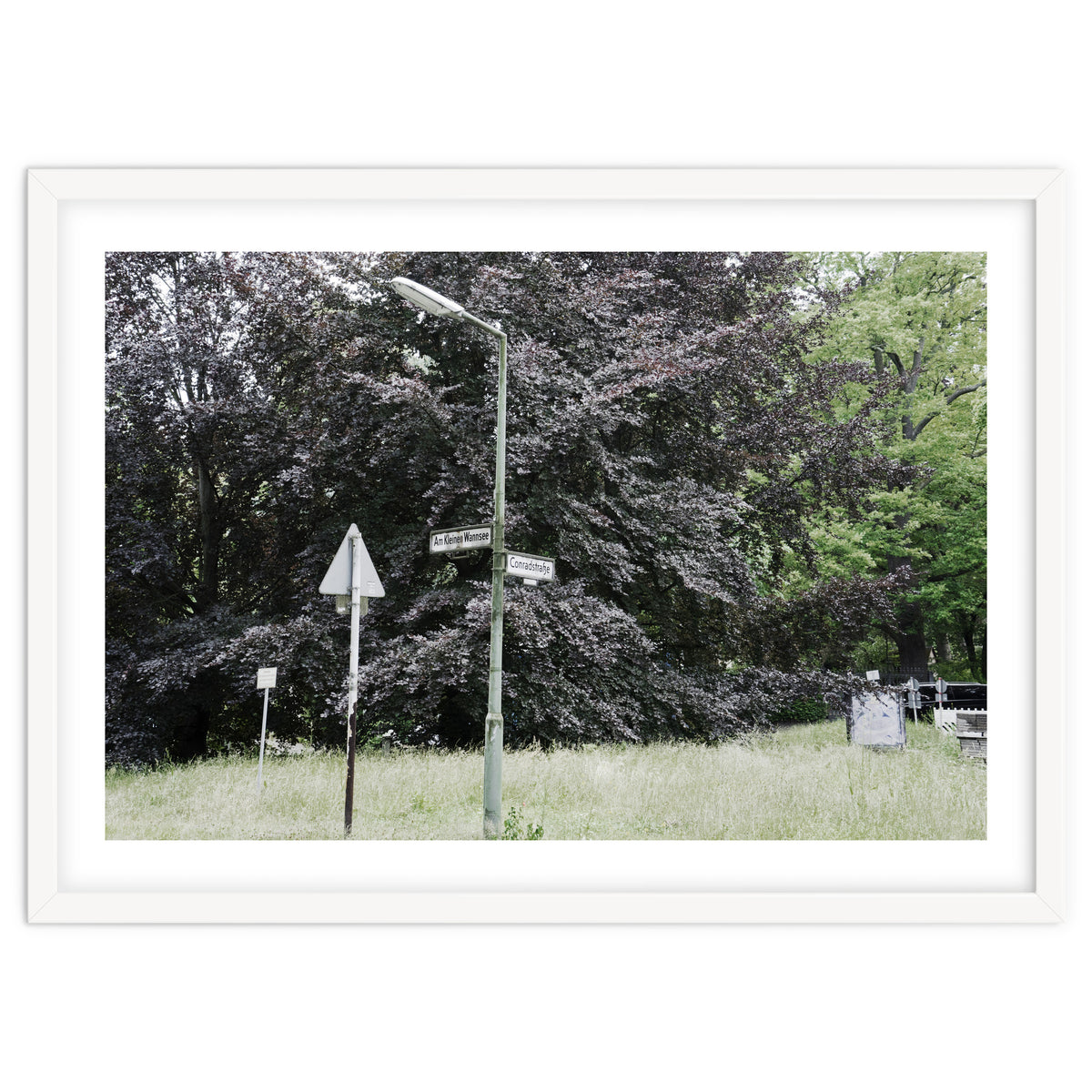 Signs at the corner of the street