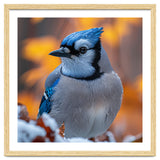 Blue Jay Bird In Winter Snowfall And Leaves thumbnail