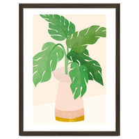 Fresh Morning Monstera Plant