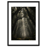 Enchanted Canopy: Mystical Forest Path thumbnail