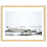 Blackbirds surrounding a frozen pond in winter thumbnail