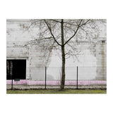 A tree in front of the wall (Print Only) thumbnail