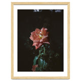 Romantic thumbnail