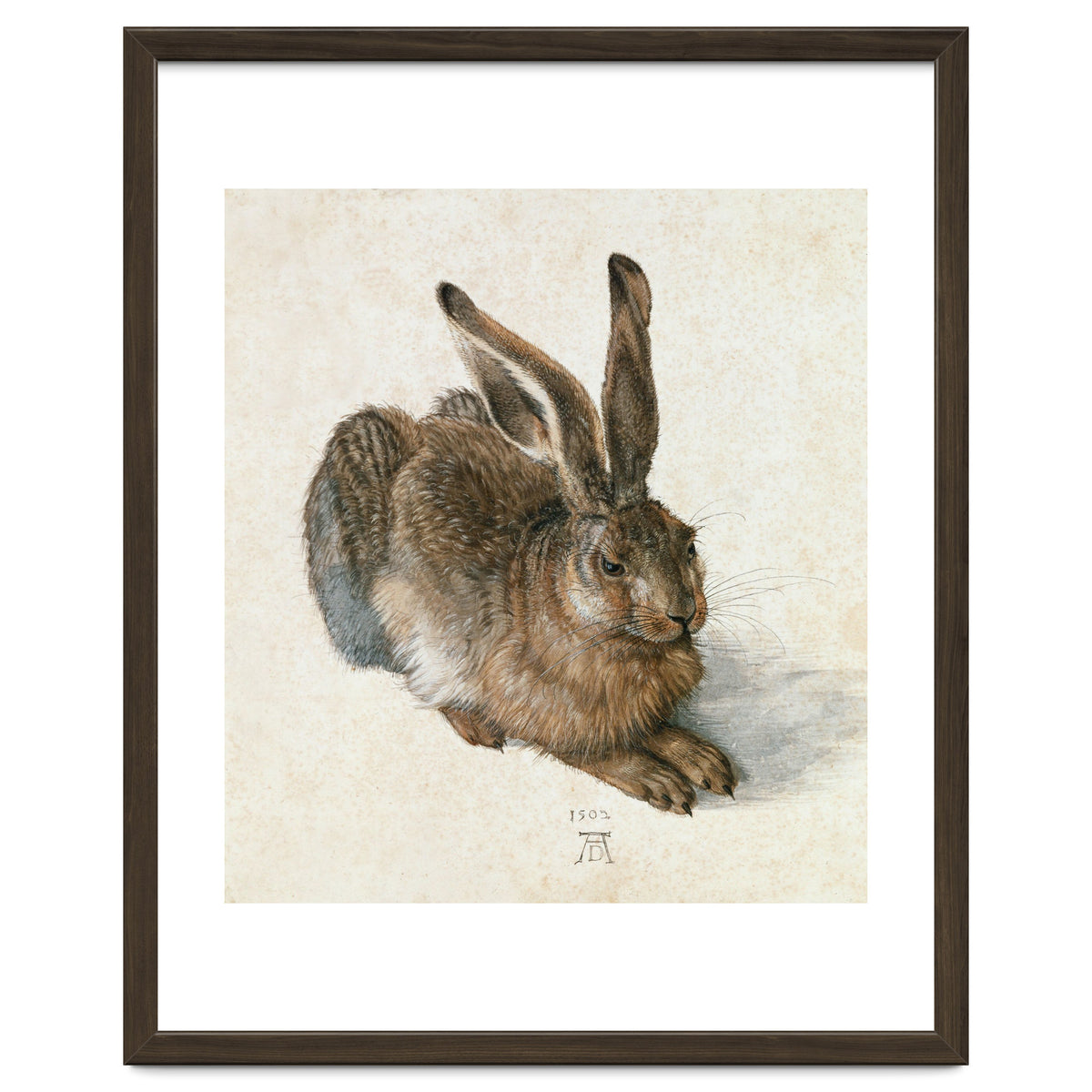 Hare-Hase. Watercolour.
