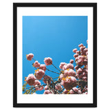 Pink Summer thumbnail