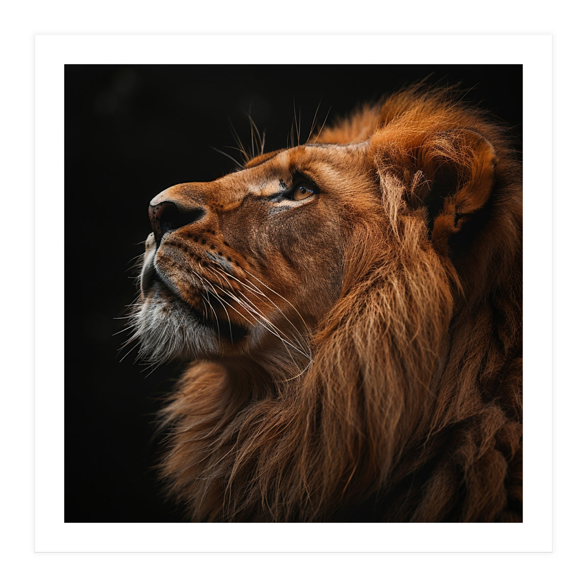Majestic Lion Portrait Profile Majestic Beast (Print Only)
