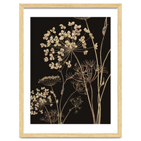 Wildflowers I